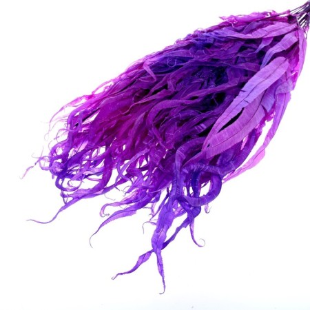 Sukhotzet "Sitnik", purple, 15 pcs. packaged