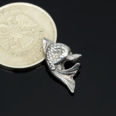 Souvenir Koshelki "Golden Fish", tin, 2x1x0.3 cm, mix-3