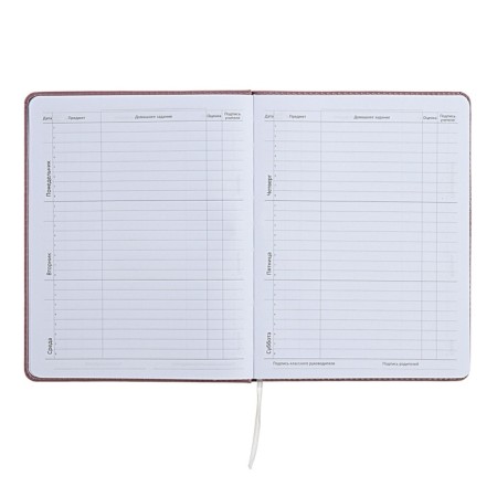 Universal diary for grade 1-11 No Comment, solid cover, artificial leather, foam rubber, silk-screen printing, liesse, 80 g/m2-6
