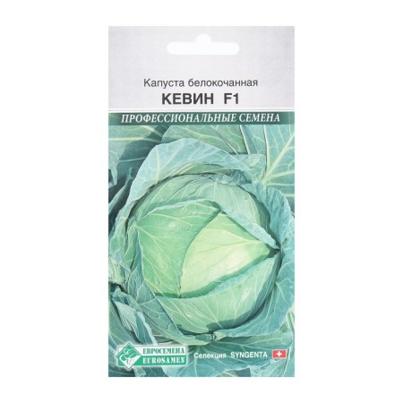 Cabbage Cabbage seeds Kevin F1, 10 pcs