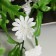 Artificial flowers "Kerri" 4x65 cm, white