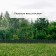 Decorative fence, 18 × 300 cm, 6 sections, plastic, green, "summer cottage"