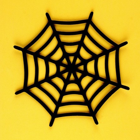 Web with spiders-2
