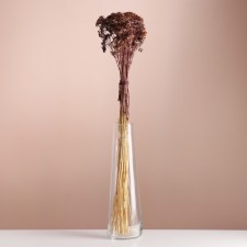Set of dried flowers 