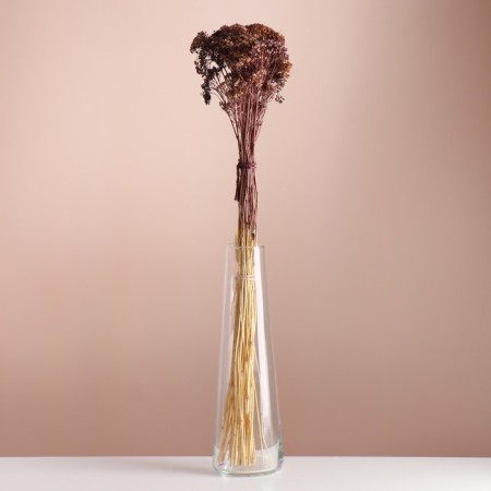 Set of dried flowers "yarrow" length 60 cm +/- 5cm, brown