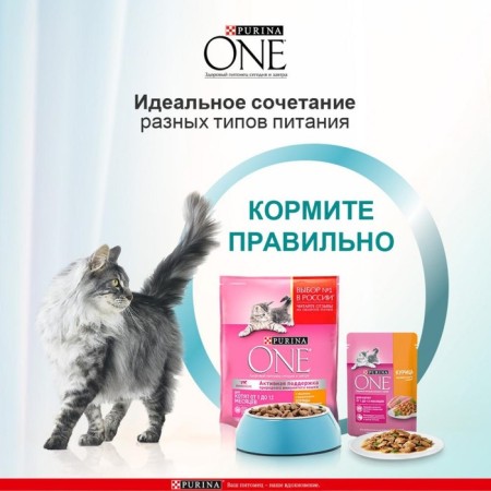 Wet feed Purin One for kittens, chicken/carrots, 75 g-3
