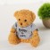 Soft toy "Bear in a sweater", Mix colors