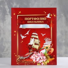 Portfolio of the schoolboy 