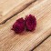Dry flowers of roses, 15 g