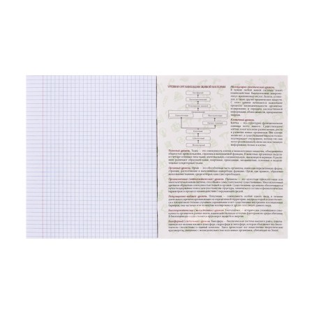 Notebook object neon animals Calligrata Top 48l CL biology, chalk cards, neon print, offset-3