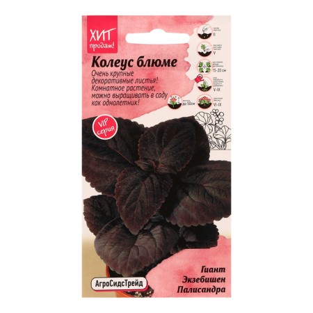 Flower seeds Koleus Bluma "Giant Excishen Palendra", 10 pcs