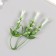 Artificial plant for creativity "Hippeastium" set of 6 pcs white-green 11.5 cm