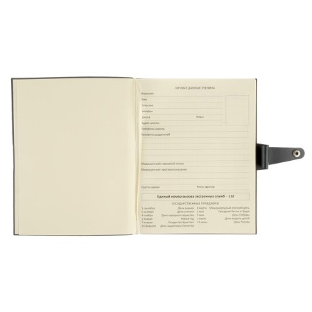 Universal diary for grades 1-11 Favorite, integrated artificial leather cover on the button, embossing foil, liesse, 48 sheets-2