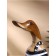 Souvenir "Duck in a swimsuit" wood 27 cm