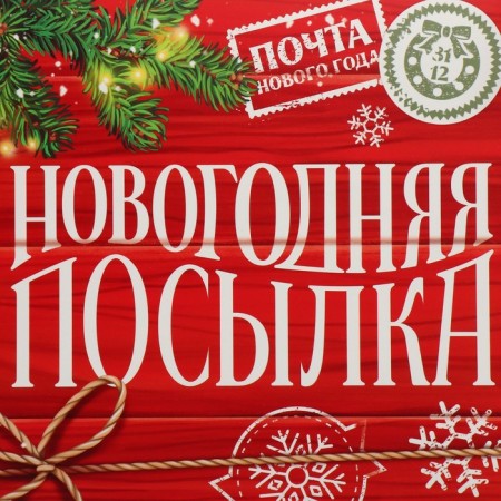 Box the team "New Year's package", 17 x 17 x 7 cm, New Year-4