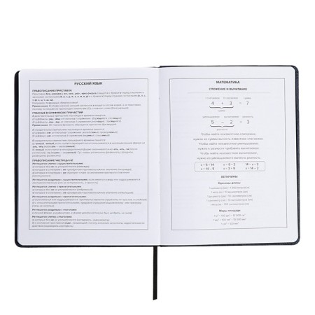 School diary for grades 1-11, fiery dragon, solid cover, artificial leather, application, pancake embossing, foil embossing, universal cheat sheet, 48 sheets, block 80g/m2-11