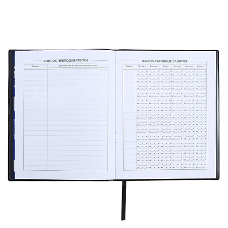 Universal Diary Grade 1-11, 48 sheets "Urban", a soft cover of PVC, embossing with foil, pocket, liesa, an offset unit-5