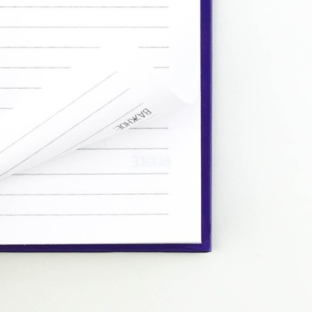Diary "Corgi. Series for those who have paws", A5, 80 sheets-3