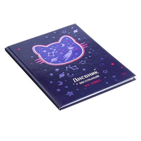 Diary for grades 5-11, 48 sheets "Cosmo Cat", solid cover, glossy lamination, foil embossing-1