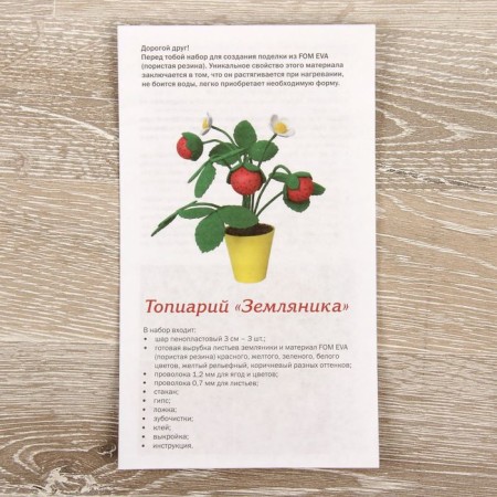 Set for creativity "strawberries"-2