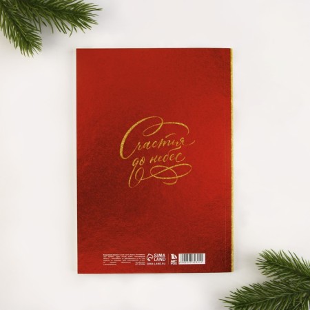 New Year. Diary-planning "Miracles in the New Year", A5, 80 liters.-3