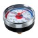 Thermomanometer "CTM", axial, DK 80 mm, 1 MPa, external thread 1/4 ", 120 ° C