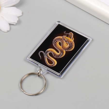 Acryl keychain "Snake. Linius" 3.5x5 cm-3