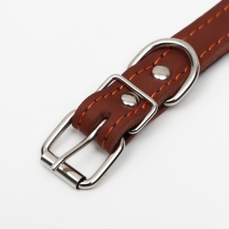Leather collar on synthetic winterizer, dimensionless, 45 x 2 cm, Osh 18-39 cm, brown-4