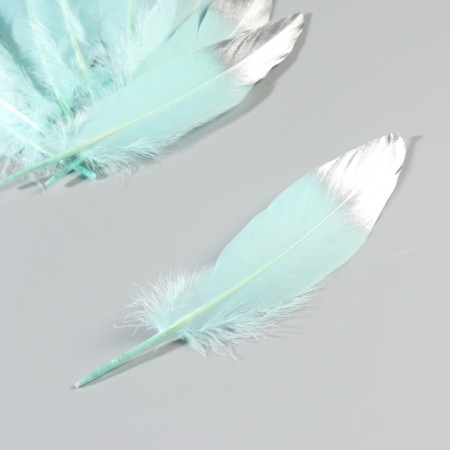 A set of goose feathers 15-20 cm, 10 pcs, mint with silver-2