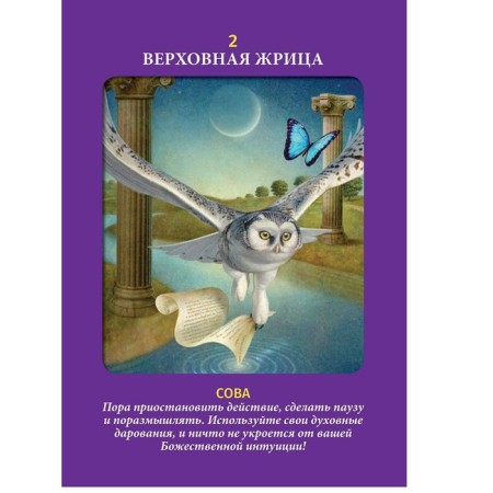 Animal Tarot. (Instruction +78 cards). Virche Dorin, Radley Valentine-1