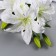 Artificial flowers "Lilia Galant" d-13 cm 66 cm, white