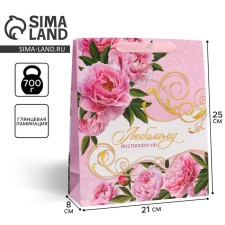 Gift Package Laminated, Packaging, “Educator”, ML 21 x 25 x 8 cm
