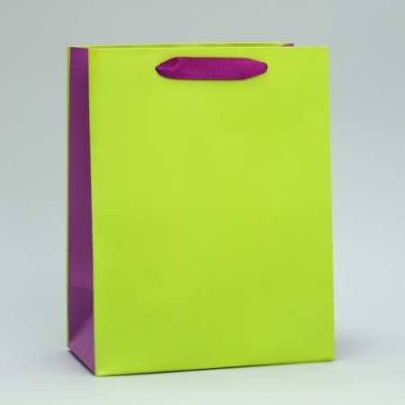 Gift package two-tone, packaging, “light green”, MS 18 x 23 x 10 cm-1