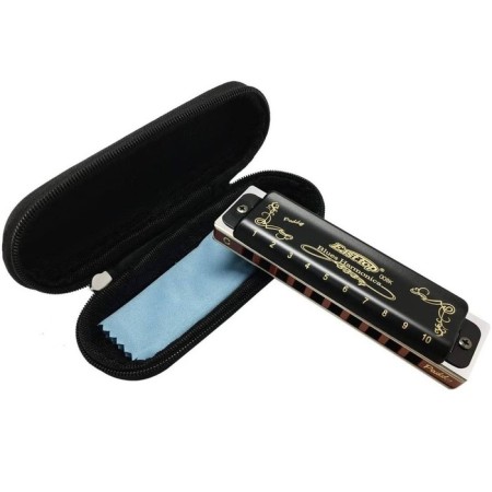 Diathonic harmonica Easttop T008K Paddy D-2