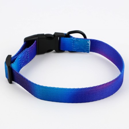 Collar “even on the edge of the world”, fastener - fastx, 2 cm 25-40 cm-5