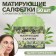 Mating napkin "Natural Aroma", 50 pcs, with the aroma of green tea