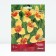Tigridia Pavliny Yellow, 10 pcs, rr 5/7, spring 2025