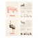 Training cards "Pets"