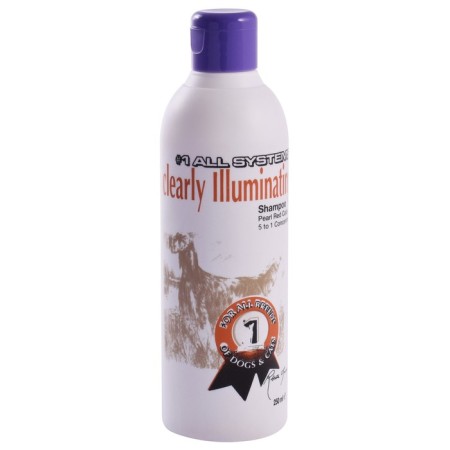 Superching shampoo 1 All Systems Clearly Illuminating Shampoo, for shine, 250 ml