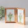 Photo frame Plastic in 2 photos 10x15 cm "Wave line on gold"