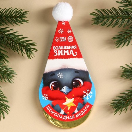 Chocolate medal in the Magic Winter cap, 25 g.