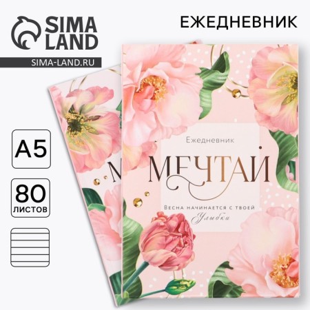 Diary in the soft cover A5, 80 liters, in the gift box "Dream"
