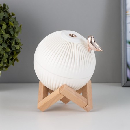 Night with a humidifier ball LED USB AKB White 12x12x11.5 cm Risalux-1