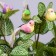 Decor at the clothespin "Bird", mix, 8.5 x 2, 5 x 3 cm