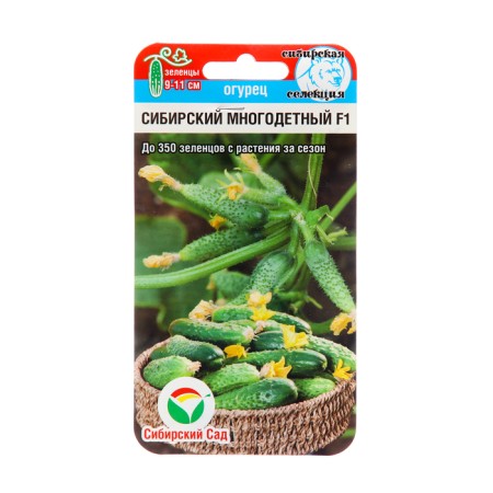 Cucumber seeds "Siberian large -children" F1, mid -season, parthenocarpic, 7 pcs