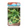 Cucumber seeds "Siberian large -children" F1, mid -season, parthenocarpic, 7 pcs