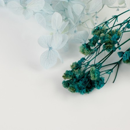 Set of dried flowers "Northern Dawn"-2