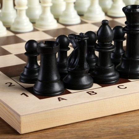 Chess figures, plastic, King H-10.5 cm, Pig H-5 cm-1