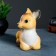 The piggy bank "deer" color 16x11x17cm