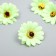 A bud on the leg for decorating "Chrysanthemum-facel green" d = 5 cm